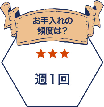 お手入れの頻度は？　答え：週1回
