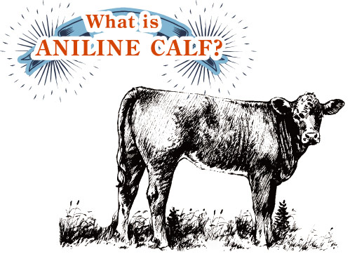 アニリンカーフって何？