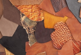 革から入る革小物選び 牛、豚、馬、鹿…そのちがいとは?