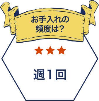 お手入れの頻度は？　答え：週1回