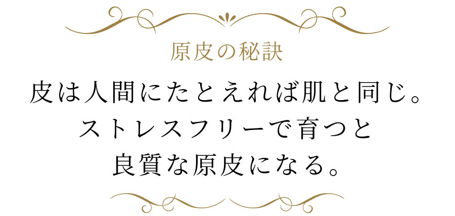 皮は、人間にたとえれば肌と同じ。 ストレスフリーで育つと良質な原皮になる。

