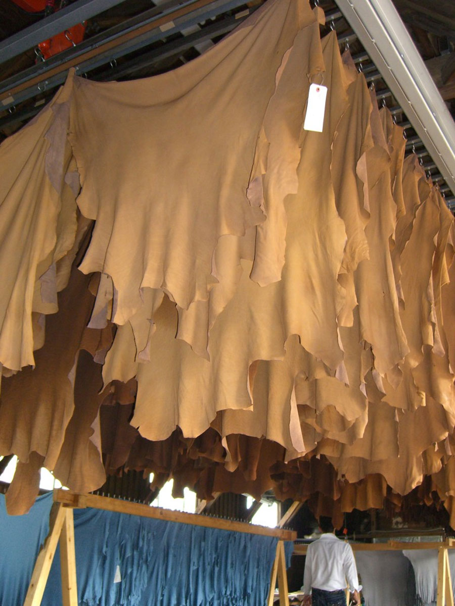 染色が終わった革を工場内で干しているところ。