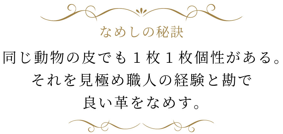  同じ動物の皮でも１枚１枚個性がある。 それを見極め、職人の経験と勘で良い革をなめす。
加工工場で、再なめしや染色などが行われる