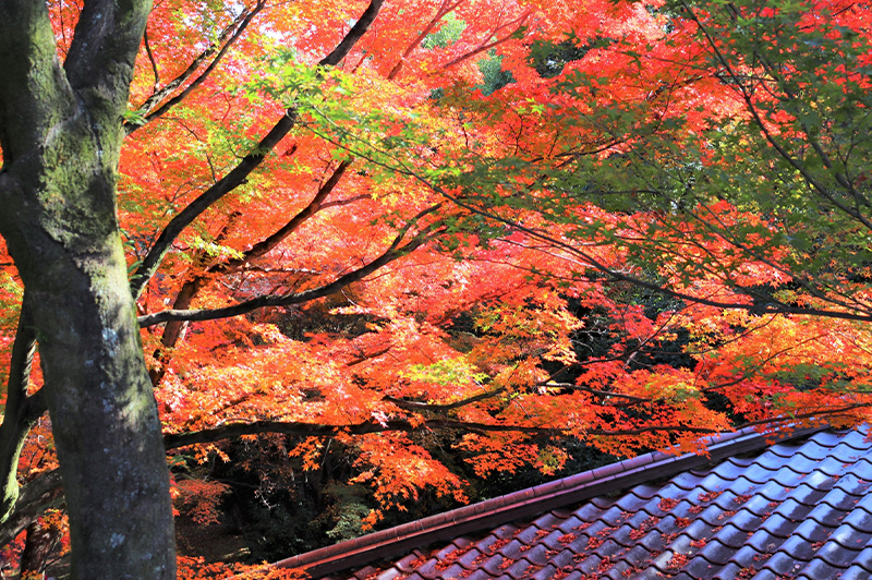10月 人生を開運に導く一歩