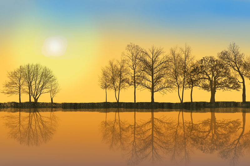 11月 金の季節で金運アップ