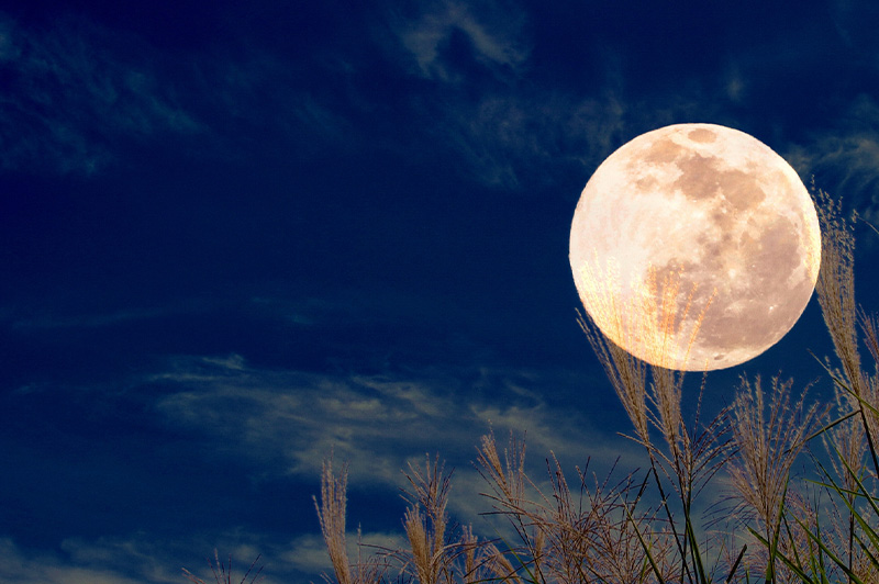 9月 財運を呼び込む開運的過ごし方