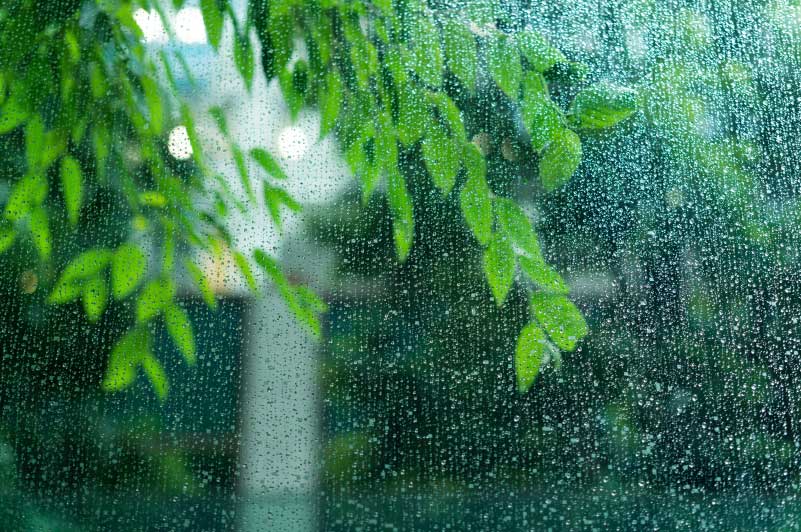 6月水の気を上手く取り入れる開運行動