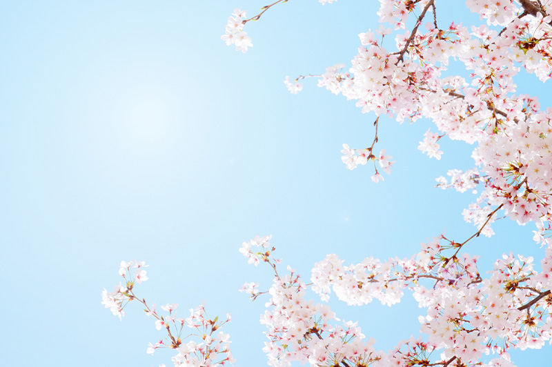 4月 未来に向けての人とお金の付き合い方