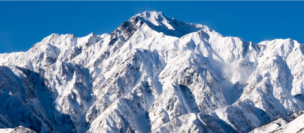 革財布キプリス,ヒマラヤ -クロコダイル＆シラサギレザー-