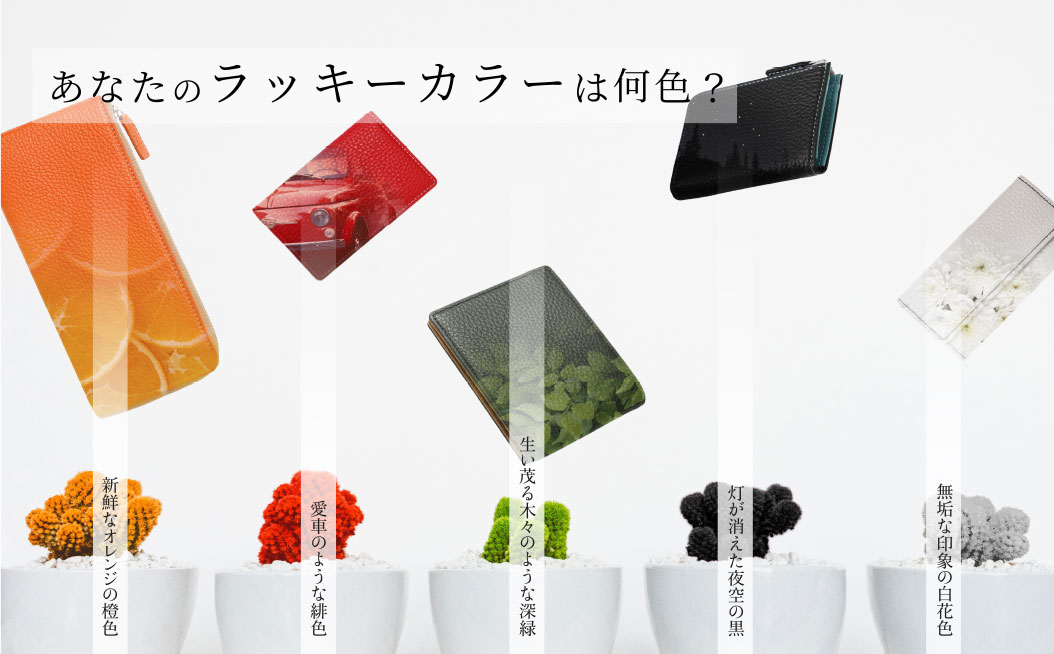 生年月日で調べる陰陽五行ラッキーカラー