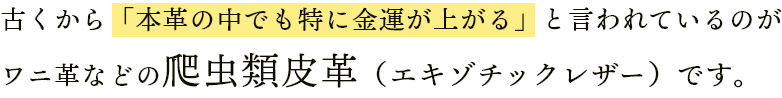 古くから「本革の中でも特に金運が上がる」と言われているのがワニ革などの爬虫類皮革（エキゾチックレザー）です。