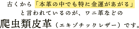 古くから「本革の中でも特に金運が上がる」と言われているのがワニ革などの爬虫類皮革（エキゾチックレザー）です。