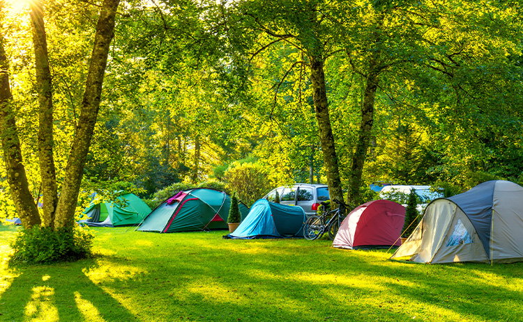 キプリスの暑い夏におすすめのコンパクト夏財布