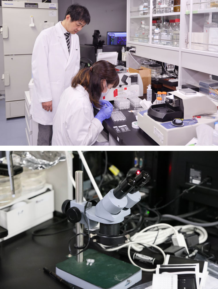 薬学博士／脳研究者／東京大学薬学部教授  池谷裕二さん